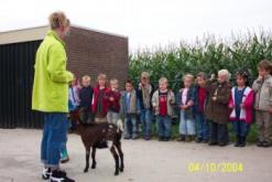 klik hier op om de foto tevergroten 